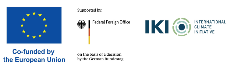 logo BMI EU